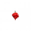 Semillas de Trinidad Scorpion Butch T