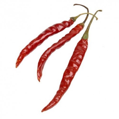 Chile de Arbol sec