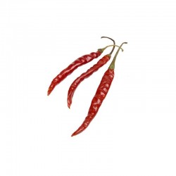 Chile de Arbol seeds