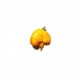 Dried Carolina Reaper Yellow