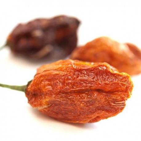 Dried Habanero Red Savina