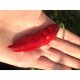 Pimenta da Neyde Red seeds