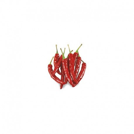 Mexican chilli seeds