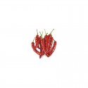 Graines de piment mexicain