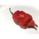 Dried California reaper red