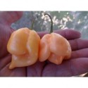 Trinidad Moruga Scorpion Peach seco