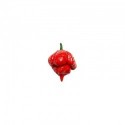 Trinidad Scorpion Butch T seco